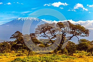 The snow peak of Kilimanjaro