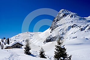 Snow Peak Mountain Landscape sun winter