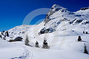 Snow Peak Mountain Landscape sun winter
