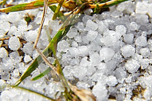 Snow pellets, graupel or soft hail on the ground. Form of precipitation