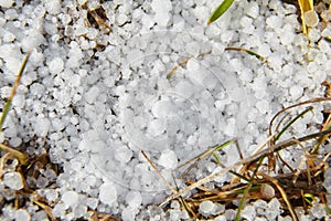 Snow pellets, graupel or soft hail on the ground. Form of precipitation