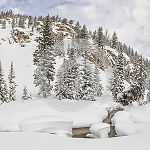 Snow pillows in a mountain stream.