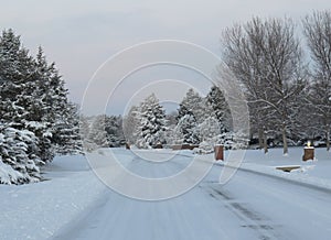 Snow Plowed Residential Street in the Winter