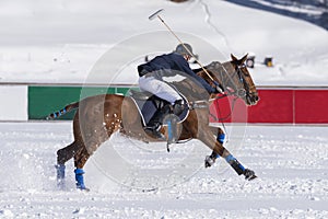 Snow polo scene during a match
