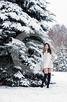 Snow queen. Portrait of a winter woman.