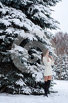 Snow queen. Portrait of a winter woman.