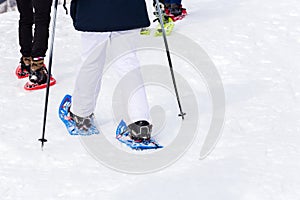 Snow Rackets