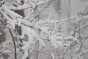 Snow refers to forms of ice crystals that precipitate from the atmosphere (usually from clouds)