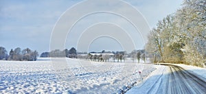 Snow, road or forest with countryside travel, holiday and vacation scenery in Denmark or nature. Background, sky or