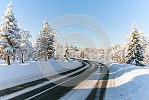 Snow road turn trees winter nobody