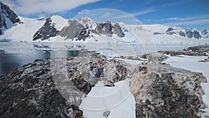 Snow rock with penguins. Antarctica aerial shot.