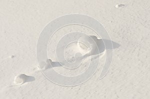 Snow Rollers on a lake a rare Meteorological phenomenon