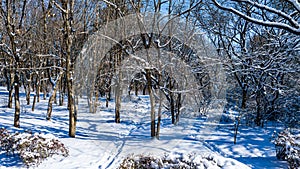 Snow scene on the forest path in Nanhu Park