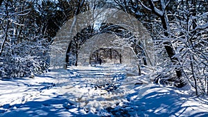 Snow scene on the forest path in Nanhu Park