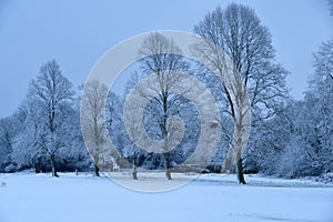 Snow scene Maidenhead Thicket