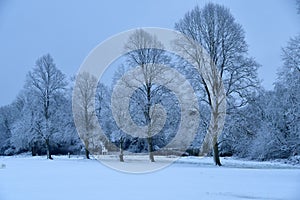 Snow scene Maidenhead Thicket photo