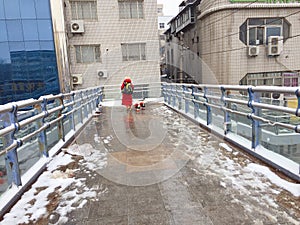 Snow Scenery in Zhengzhou People& x27;s Park