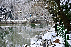 Snow Scenery in Zhengzhou People& x27;s Park