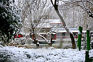 Snow Scenery in Zhengzhou People& x27;s Park