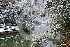 Snow Scenery in Zhengzhou People's Park