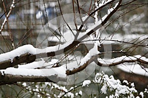 Snow Scenery in Zhengzhou People& x27;s Park