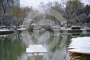 Snow Scenery in Zhengzhou People& x27;s Park