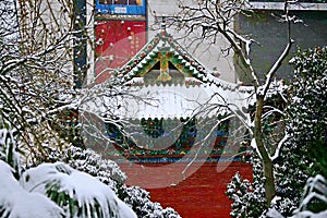 Snow Scenery in Zhengzhou People's Park