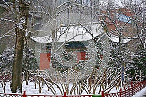 Snow Scenery in Zhengzhou People's Park
