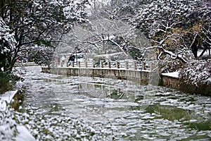 Snow Scenery in Zhengzhou People& x27;s Park