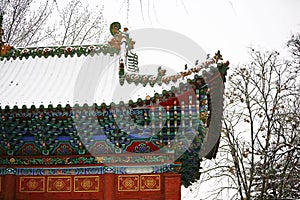 Snow Scenery in Zhengzhou People& x27;s Park