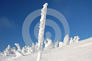 Snow sculptures photo