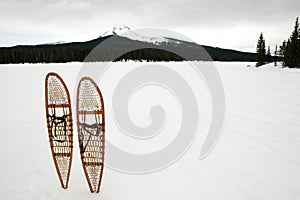 Snow shoes