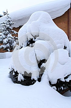 Snow-covered landscape photo