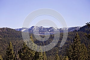Snow on Sierra Nevada Mountains Surrounded by Large Forest of Pine Trees photo