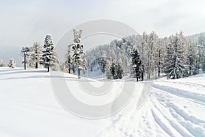 Snow ski run in skiing area Via Lattea Italy