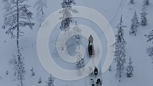 Snow sled hiker pulled by dogs drone-followed view in finnish tundra