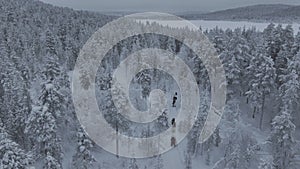 Snow sled hikers in the toundra in finnish Lapland seen from the sky