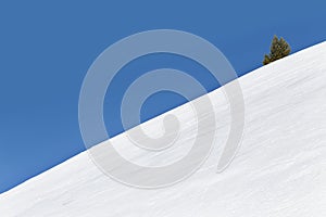 Snow slope and one Christmas tree on a background of blue sky.