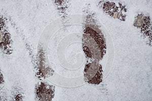 Snow and slush footprints on the road