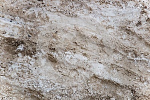 Snow and slush footprints on the road