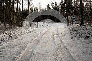 Snow-Stamped Journeys: Tire Trails Carve Through Wintry Woods. Pokainu Mezs, Latvija