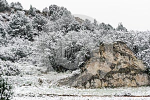 Blizzard at garden of the gods colorado springs rocky mountains during winter covered in snow