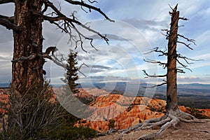 Snow storm at sunset, Bryce Canyon National Park