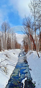 snow Stream