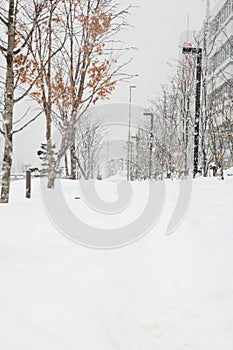 Snow street