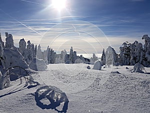 Snow sun blue sky tree horizon