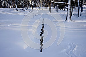 snow sunlight trees white background winter shadow outdoors water