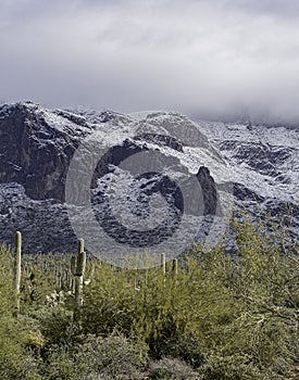 Snow on the Superstition Mountains. Arizona. Mesa.