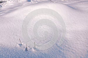 Snow surface photo