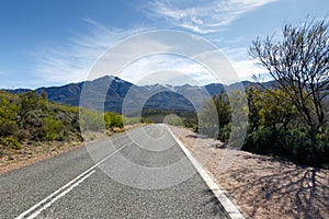 Snow - Swartberg Nature Reserve